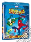 (Blu Ray Disk) Spectacular Spider-Man - Stagione 01 (CE) (2 Blu-Ray) dvd