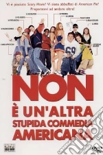 Non è un'altra stupida commedia americana