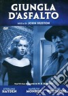 Giungla D'Asfalto film in dvd di John Huston