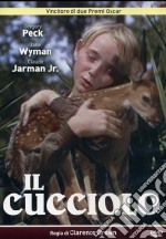 Cucciolo (Il) dvd