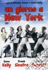 Giorno A New York (Un) dvd