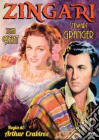 Zingari dvd