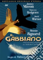 Gabbiano (Il)