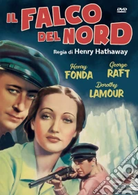 Falco Del Nord (Il) dvd