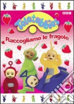 Teletubbies - Raccogliamo Le Fragole dvd