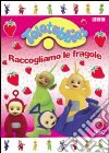 Teletubbies - Raccogliamo Le Fragole (Dvd+Piatto Bimbo) dvd