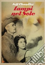 Lampi Nel Sole dvd