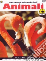 Sguardo Sul Mondo Degli Animali - Fenicottero - Antilopi dvd