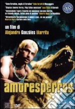 Amores Perros dvd