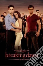 Breaking Dawn - Parte 1 - The Twilight Saga (Extended Edition) dvd