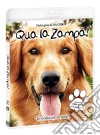 (Blu-Ray Disk) Qua La Zampa! film in dvd di Lasse Hallstrom