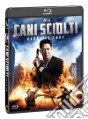(Blu-Ray Disk) Cani Sciolti - Badge Of Fury dvd