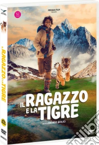 Ragazzo E La Tigre (Il) dvd