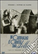 In Campagna E' Caduta Una Stella dvd