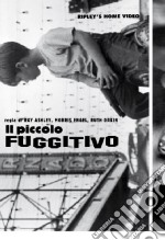 Piccolo Fuggitivo (Il) dvd