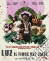 (Blu-Ray Disk) Luz: Il Fiore Del Male dvd