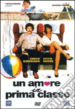 Amore In Prima Classe (Un) dvd