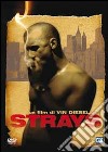 Strays dvd