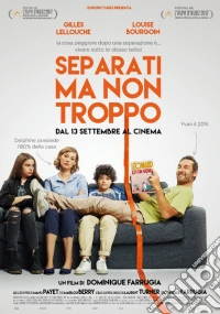 Separati Ma Non Troppo dvd
