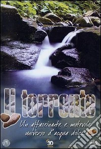 Torrente (Il) dvd