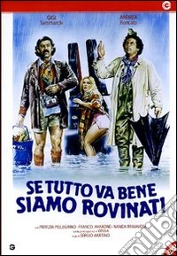 Se Tutto Va Bene Siamo Rovinati dvd