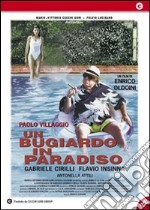 Bugiardo In Paradiso (Un) dvd