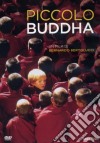 Piccolo Buddha dvd