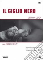 Il giglio nero dvd