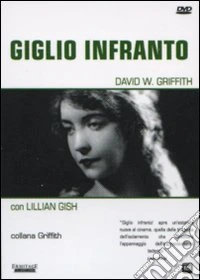 Giglio infranto dvd