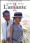 Amante (L') dvd