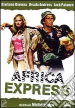 Africa Express dvd usato