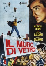 Muro Di Vetro (Il) dvd