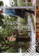 Sapore Del Grano (Il) dvd