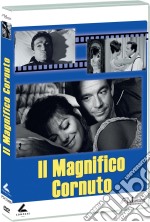 Magnifico Cornuto (Il) dvd