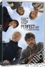 Perfect Day dvd