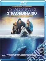 (Blu-Ray Disk) Qualcosa Di Straordinario brd