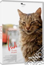 Kedi - La Citta' Dei Gatti dvd