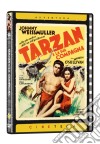 Tarzan E La Sua Compagna dvd