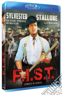 (Blu-Ray Disk) F.I.S.T brd