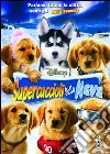 Snow Buddies - Supercuccioli Sulla Neve film in dvd di Robert Vince