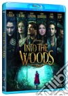 (Blu-Ray Disk) Into The Woods dvd