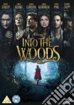 Into The Woods [Edizione: Regno Unito] [ITA] dvd