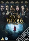 Into The Woods [Edizione: Regno Unito] [ITA] dvd