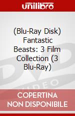 (Blu-Ray Disk) Fantastic Beasts: 3 Film Collection (3 Blu-Ray) brd
