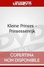 Kleine Prinses - Prinsessenrijk dvd