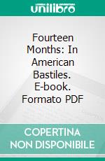 Fourteen Months: In American Bastiles. E-book. Formato PDF ebook