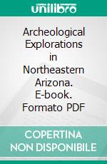 Archeological Explorations in Northeastern Arizona. E-book. Formato PDF