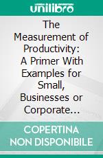 The Measurement of Productivity: A Primer With Examples for Small, Businesses or Corporate Divisions. E-book. Formato PDF ebook di Thomas A. Barocci