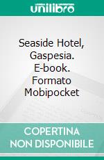 Seaside Hotel, Gaspesia. E-book. Formato Mobipocket ebook di Agnès Ruiz