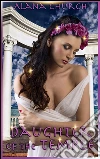 Daughter of the Temple: Book 1 of 'The Guardians of Heklos'. E-book. Formato PDF ebook di Alana Church